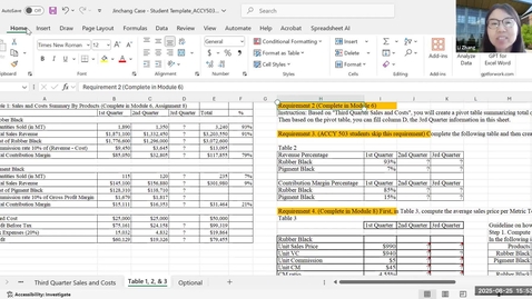 Thumbnail for A Video Guide on PivotTable