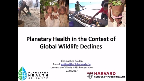 Thumbnail for NRES 500 Spring 2017 - Golden - Planetary health in the context of global wildlife declines