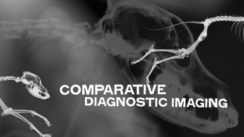 Thumbnail for Neurologic Examination