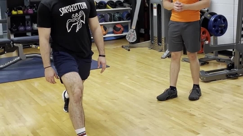 Thumbnail for entry Split Squat - progressions and regressions