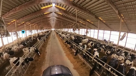 Thumbnail for ThingLink  360 Video | Dairy Farm