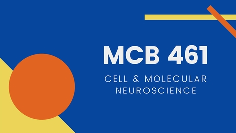 Thumbnail for entry MCB 461: Cell &amp; Molecular Neuroscience