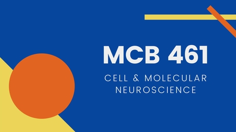 Thumbnail for MCB 461: Cell &amp; Molecular Neuroscience