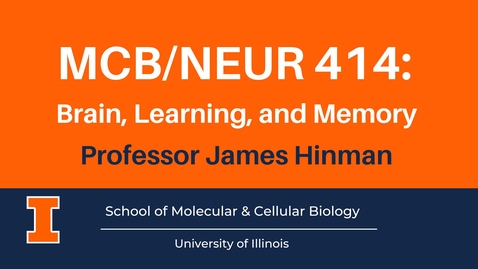 Thumbnail for MCB/NEUR 414: Brain, Learning, and Memory