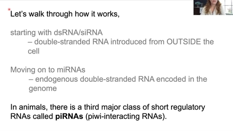 Thumbnail for Module37D