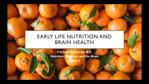 Thumbnail for entry Early Life Nutrition and Brain Health - Session 2 of Nutrition, Wellness, and the Brain Series