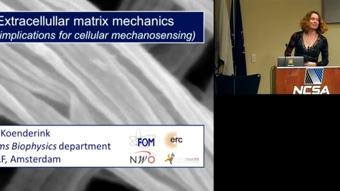 Thumbnail for Extracellular matrix mechanics and implications for cellular mechanosensing