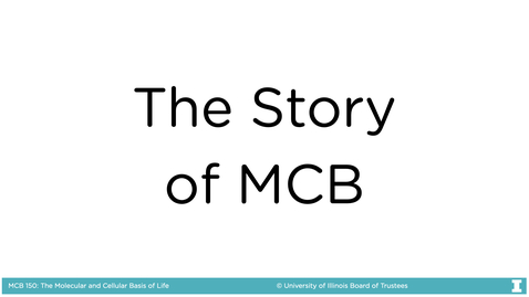 Thumbnail for The Story of MCB