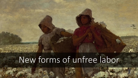 Thumbnail for 22. Abolition and Indenture - Quiz