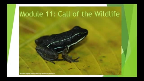 Thumbnail for NRES 102 Module 12: Call of the wildlife