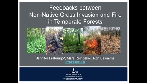 Thumbnail for Feedbacks between non-native grass invasion and fire in temperate forests - Jennifer Fraterrigo, Mara Rembelski, and Ron Salemme, University of Illinois