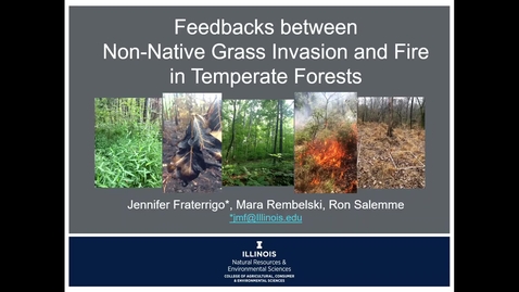 Thumbnail for entry Feedbacks between non-native grass invasion and fire in temperate forests - Jennifer Fraterrigo, Mara Rembelski, and Ron Salemme, University of Illinois