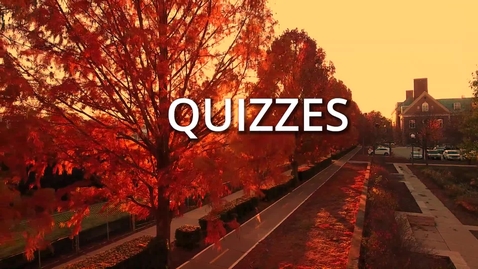 Thumbnail for iMBA Capstone: Quizzes