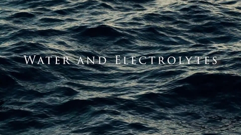 Thumbnail for entry 8. Water and Electroyltes