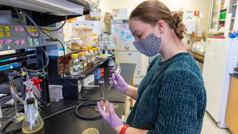 Thumbnail for MCB PhD Program: Meet a few of our students