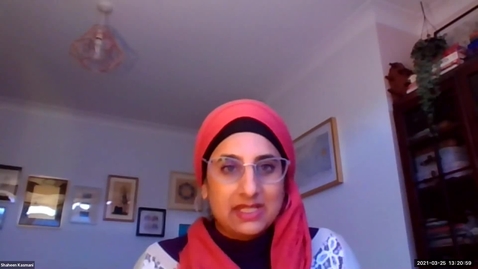 Thumbnail for Visitor Talk: Shaheen Kasmani