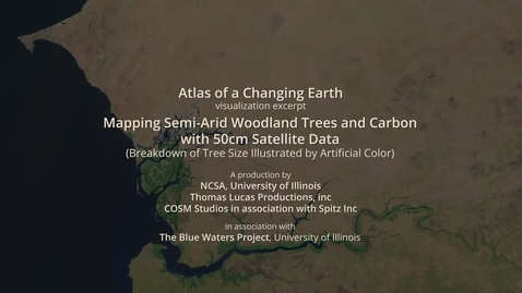 Thumbnail for Mapping Semi-Arid Woodland Trees and Carbon with 50cm Satellite Data - Tree Size Breakdown