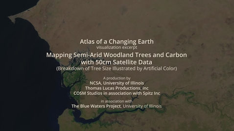 Thumbnail for entry Mapping Semi-Arid Woodland Trees and Carbon with 50cm Satellite Data - Tree Size Breakdown