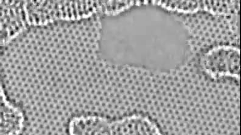 Thumbnail for Carbon atoms moving at the edge of a hole in graphene [V1qWmrp6GAs].mp4
