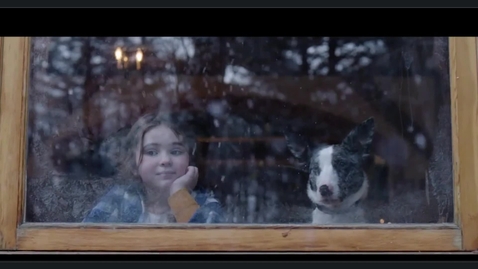 Thumbnail for Reindeer with AD