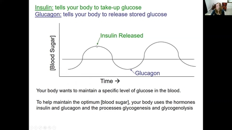 Thumbnail for 5 - CARBOHYDRATES AND DIABETES VIDEO LECTURE