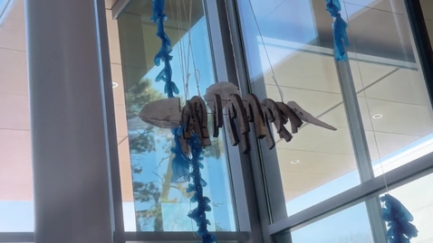 Thumbnail for Mycroplacelium_2026