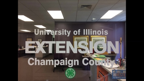 Thumbnail for Internship – 4-H Champaign County – Brooke Haag