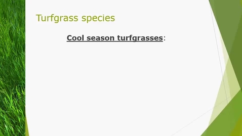 Thumbnail for Lawns 2