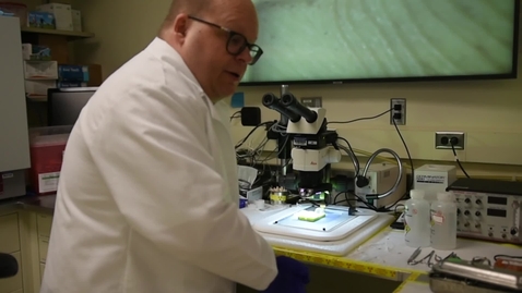 Thumbnail for Wawrzyniec Dobrucki: Why I Study Cancer