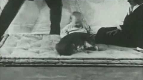 Thumbnail for The Little Albert Experiment