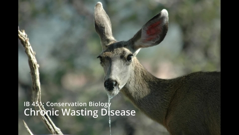 Thumbnail for Chronic_Wasting_Disease