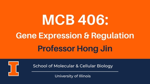 Thumbnail for MCB 406: Gene Expression &amp; Regulation, Part 2 (advanced course video)