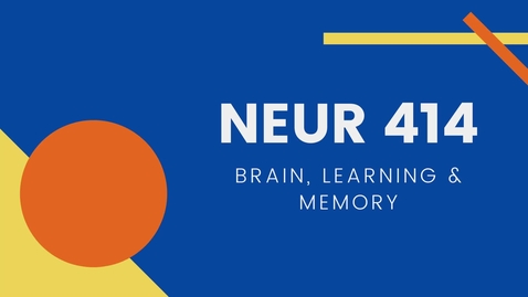 Thumbnail for entry NEUR 414: Brain, Learning and Memory