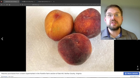 Thumbnail for appearance-peach-fuzz.mp4