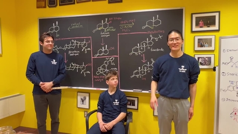 Thumbnail for Sculpting Strong C—H Bonds in Complex Natural Products