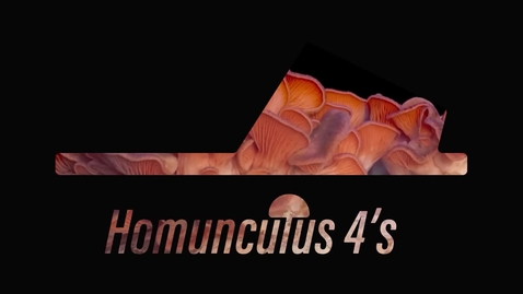 Thumbnail for Mycelium Leather Shoes
