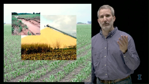Thumbnail for Increasing Cropping System Diversity: The Opportunity