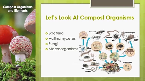 Thumbnail for organic 7