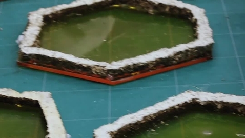 Thumbnail for Busy Bees_2025