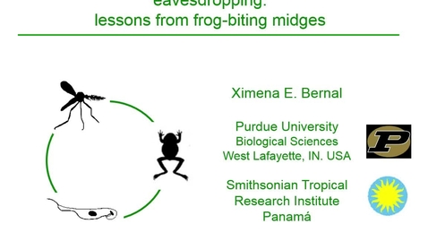 Thumbnail for NRES 2015 Spring Seminar Series - Ximena E. Bernal