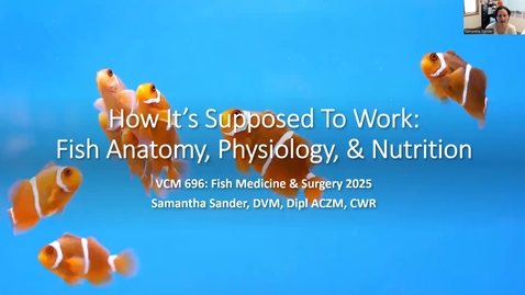 Thumbnail for Fish Med Lect 1