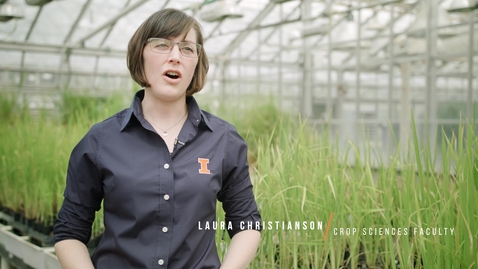 Thumbnail for Crop Sciences @Illinois