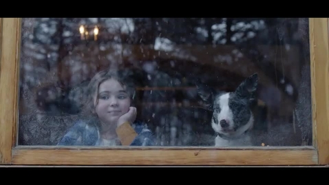 Thumbnail for MS REINDEER 