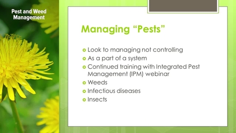 Thumbnail for organic 3