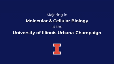 Thumbnail for Majoring in Molecular and Cellular Biology at the University of Illinois Urbana-Champaign