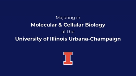 Thumbnail for entry Majoring in Molecular and Cellular Biology at the University of Illinois Urbana-Champaign