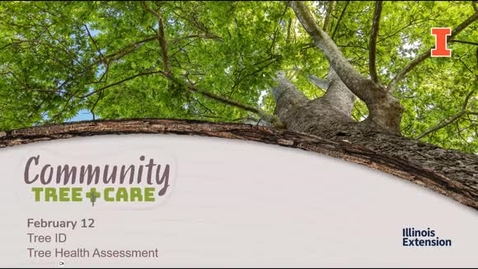 Thumbnail for Tree Care Series 2025: Tree ID Tree Health Assesment