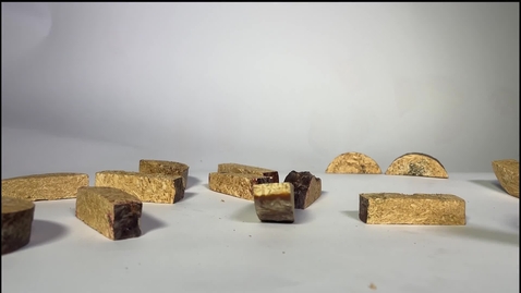 Thumbnail for &quot;Funga: An Experiment on Prototyping with Mycelium and Food Substrates.&quot;