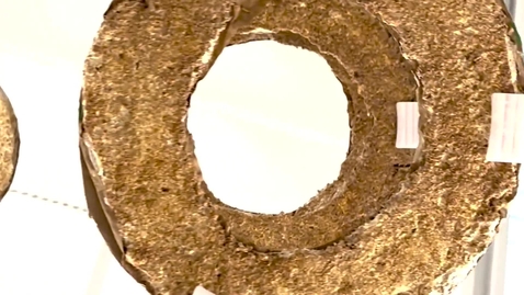 Thumbnail for Halo Rings_2025