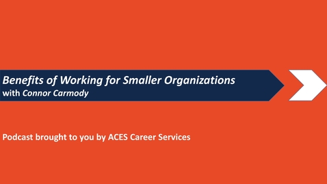 Thumbnail for Benefits of Working for Smaller Organizations